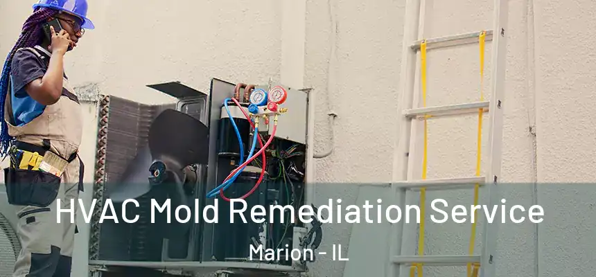  HVAC Mold Remediation Service Marion - IL