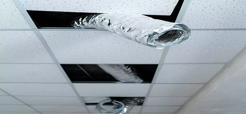 Our Air Duct Pet Hair Removal Services in Marion, IL