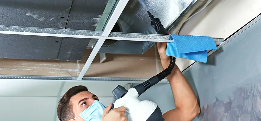 Our Air Duct Rodent Removal Services in Marion, IL