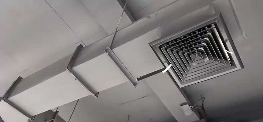 Our Pest Removal From Ducts Services in Marion, IL