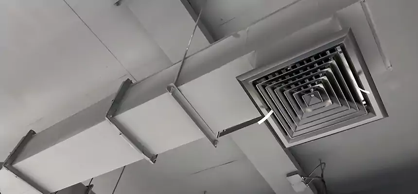 Our Rodent Droppings In Vents Services in Marion, IL