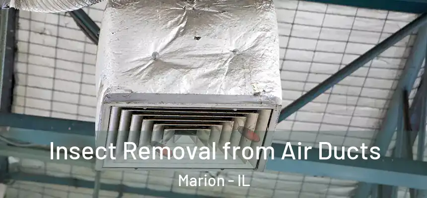  Insect Removal from Air Ducts Marion - IL