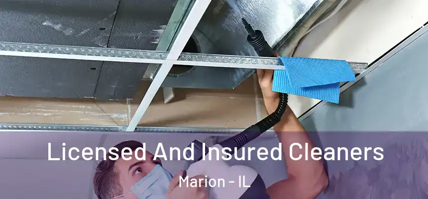  Licensed And Insured Cleaners Marion - IL