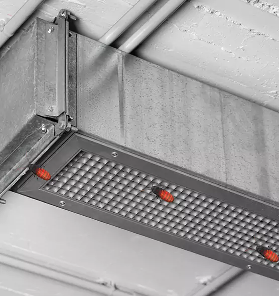 About Air Duct Cockroach Removal in Marion, IL