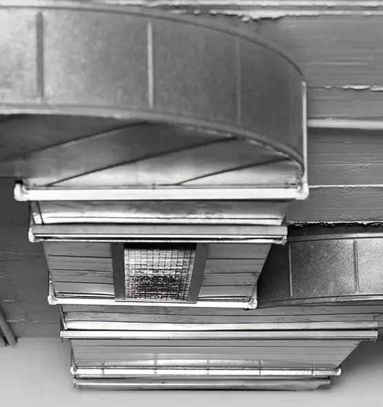 Professional Air Duct Pest Removal in Marion, IL