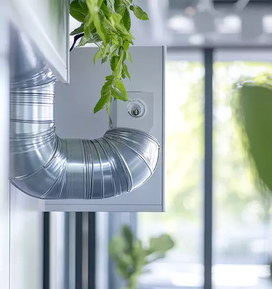 Professional Eco-Safe Dryer Vent Cleaning in Marion, IL