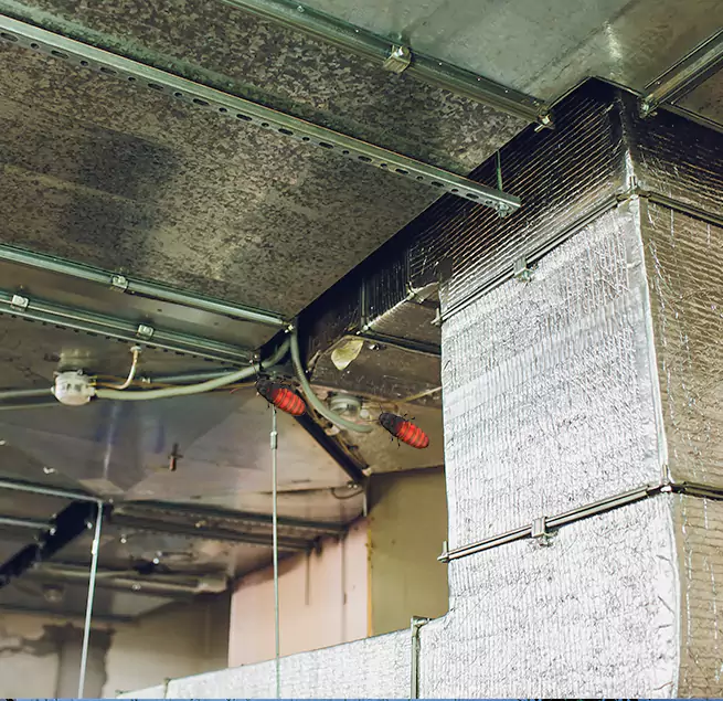 Why Homeowners & Businesses Trust Us in Marion, IL?