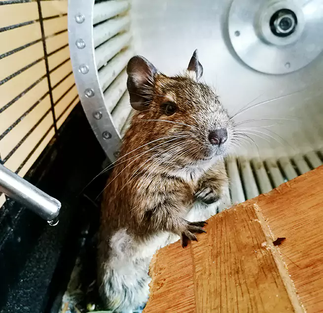 Why Homeowners & Businesses Trust Us Marion, IL