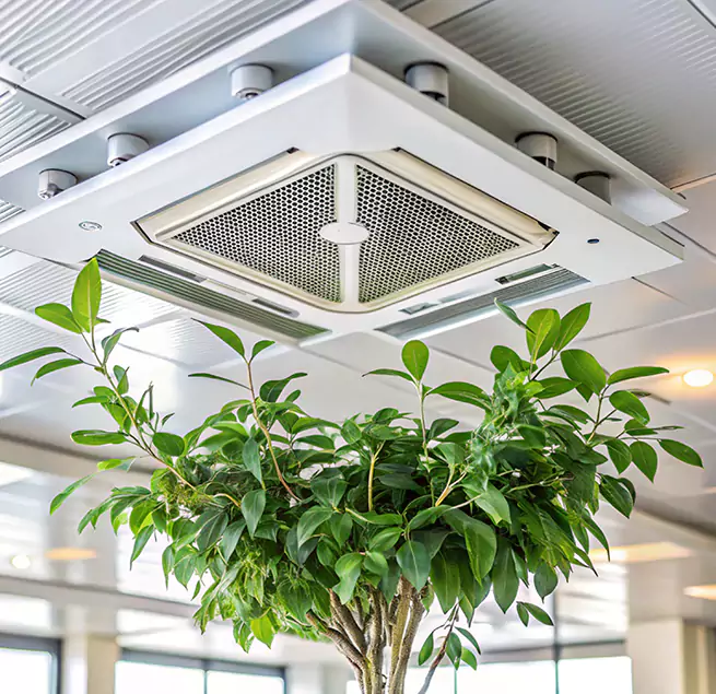 Why Homeowners & Businesses Trust Us in Marion, IL?